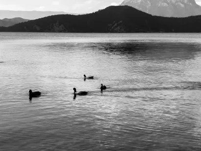 SlotoCash Kasino Mobilní aplikace